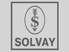 solvay1.jpg